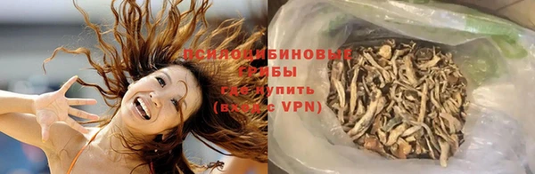 спиды Вяземский
