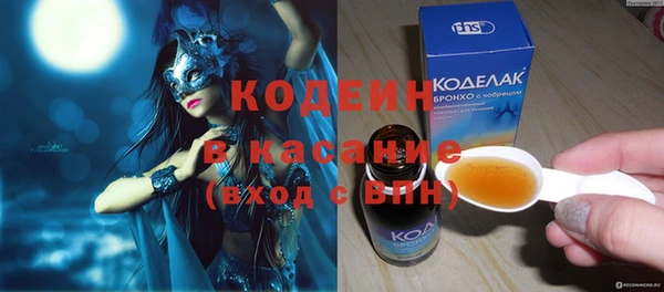 спиды Вяземский