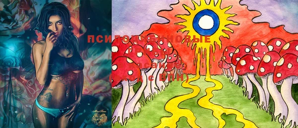 прущая мука Вязьма