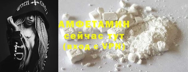 спиды Вяземский