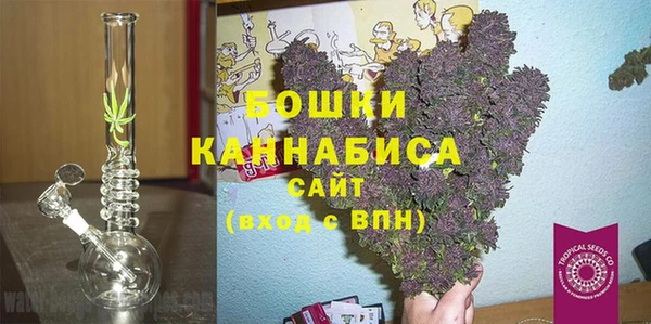 спиды Вяземский