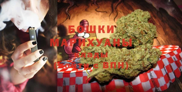 спиды Вяземский