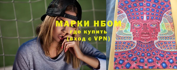 спиды Вяземский
