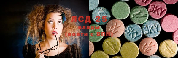 спиды Вяземский