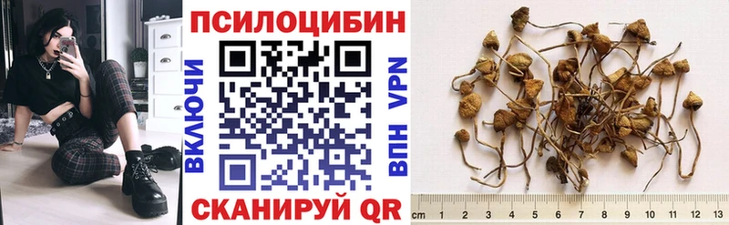 Псилоцибиновые грибы мухоморы  Купить где  Красноуфимск 